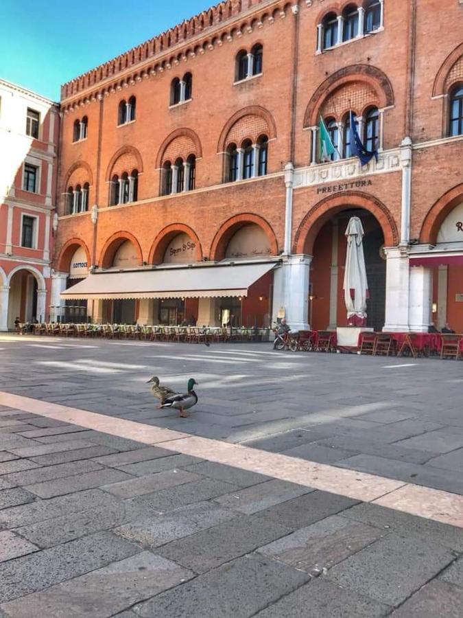 La Petite Maison Apartment Treviso Exterior photo